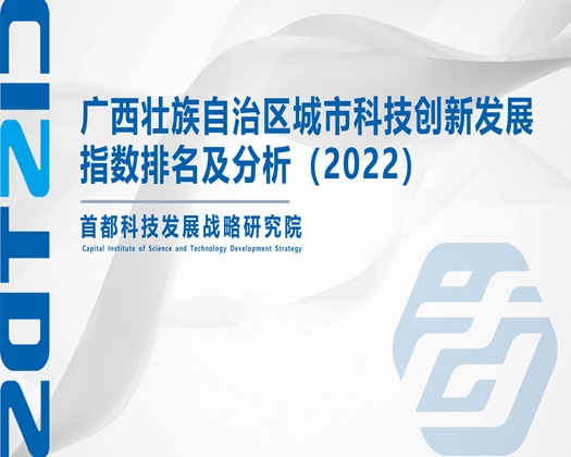 男操女人的逼中文字幕【成果发布】广西壮族自治区城市科技创新发展指数排名及分析（2022）